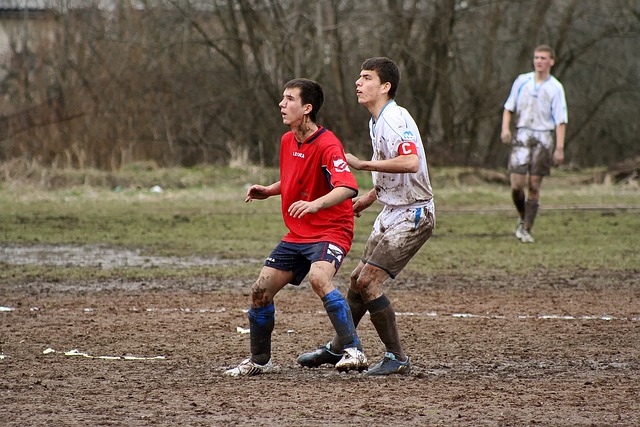雷速体育直播官网:王楚钦晋级决赛 今晚将与梁靖崑争夺冠军央视新闻客户端.